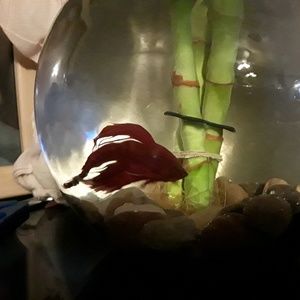 Meet your Posher, Judith